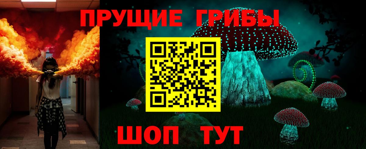 Псилоцибиновые грибы мицелий Орёл